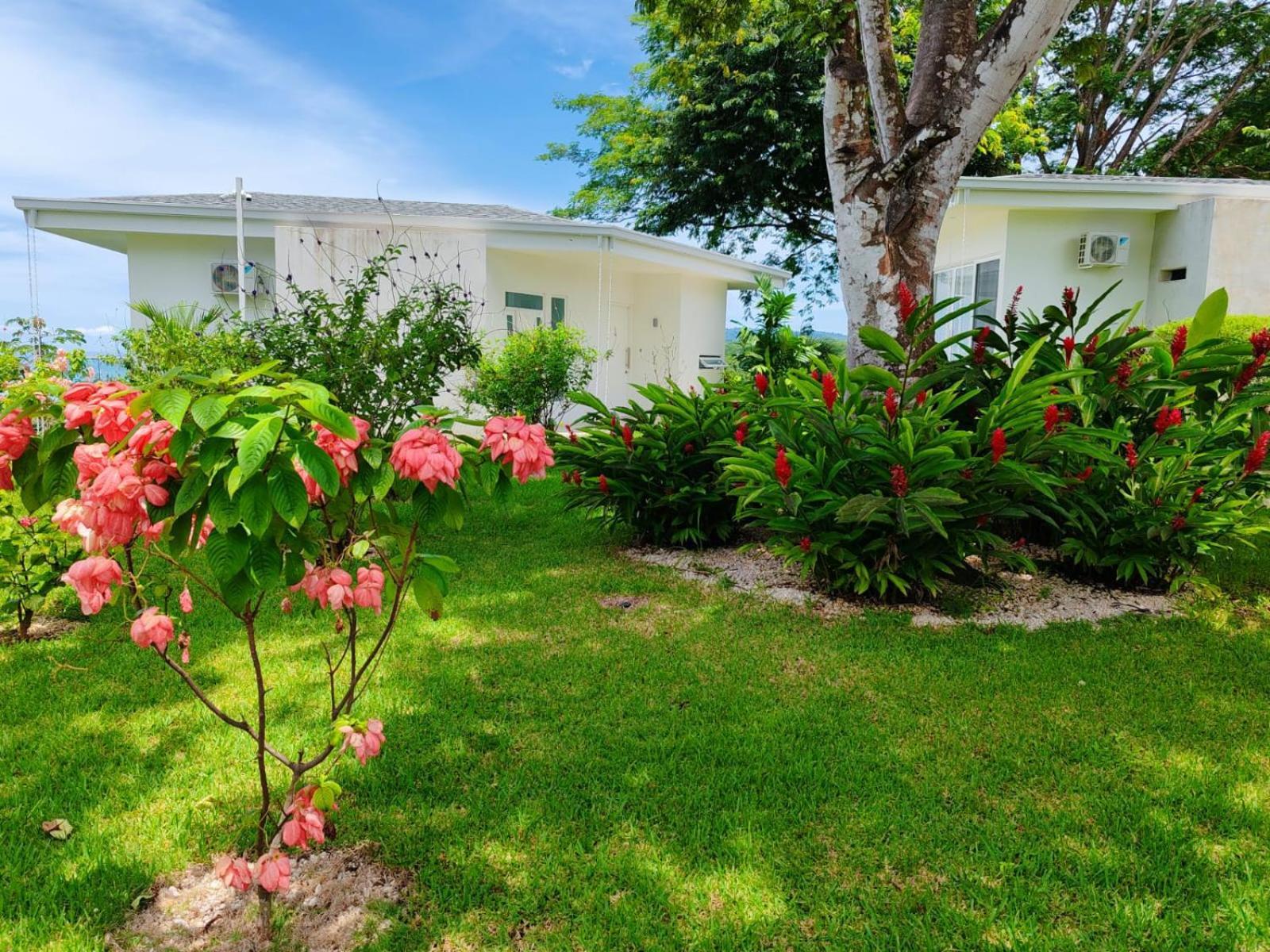 Adeluna Luxury Villas Montezuma Kültér fotó